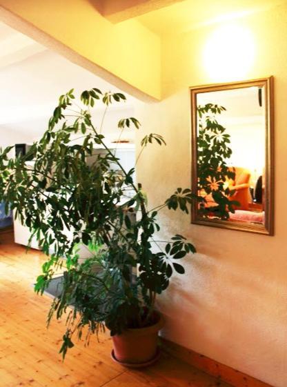 Ferienwohnung Haus Edith In لاوفنبورغ المظهر الخارجي الصورة